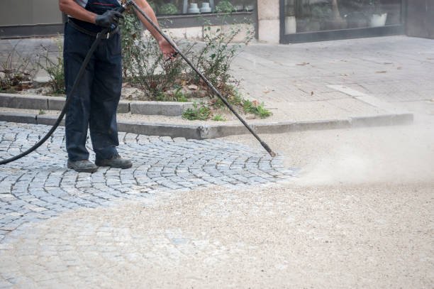  Fox Lake, WI Pressure Washing Pros