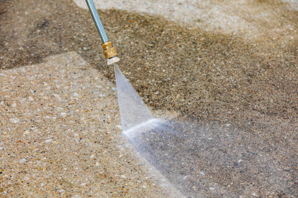 Best Sidewalk and Walkway Pressure Cleaning in Fox Lake, WI