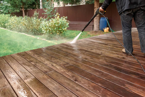 Best Driveway Cleaning and Restoration in Fox Lake, WI