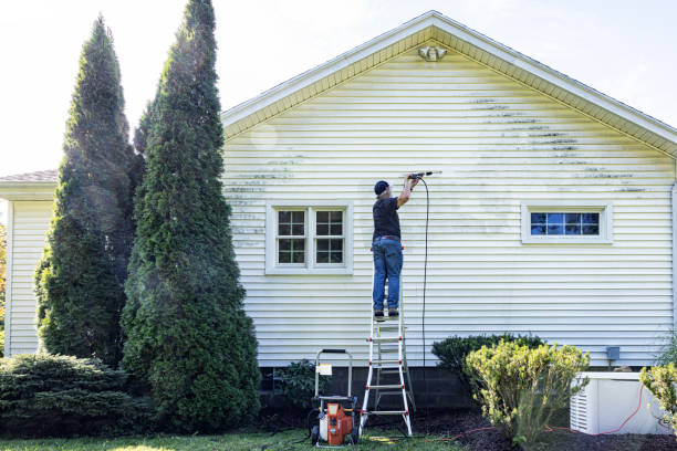 Best Graffiti Removal Services in Fox Lake, WI
